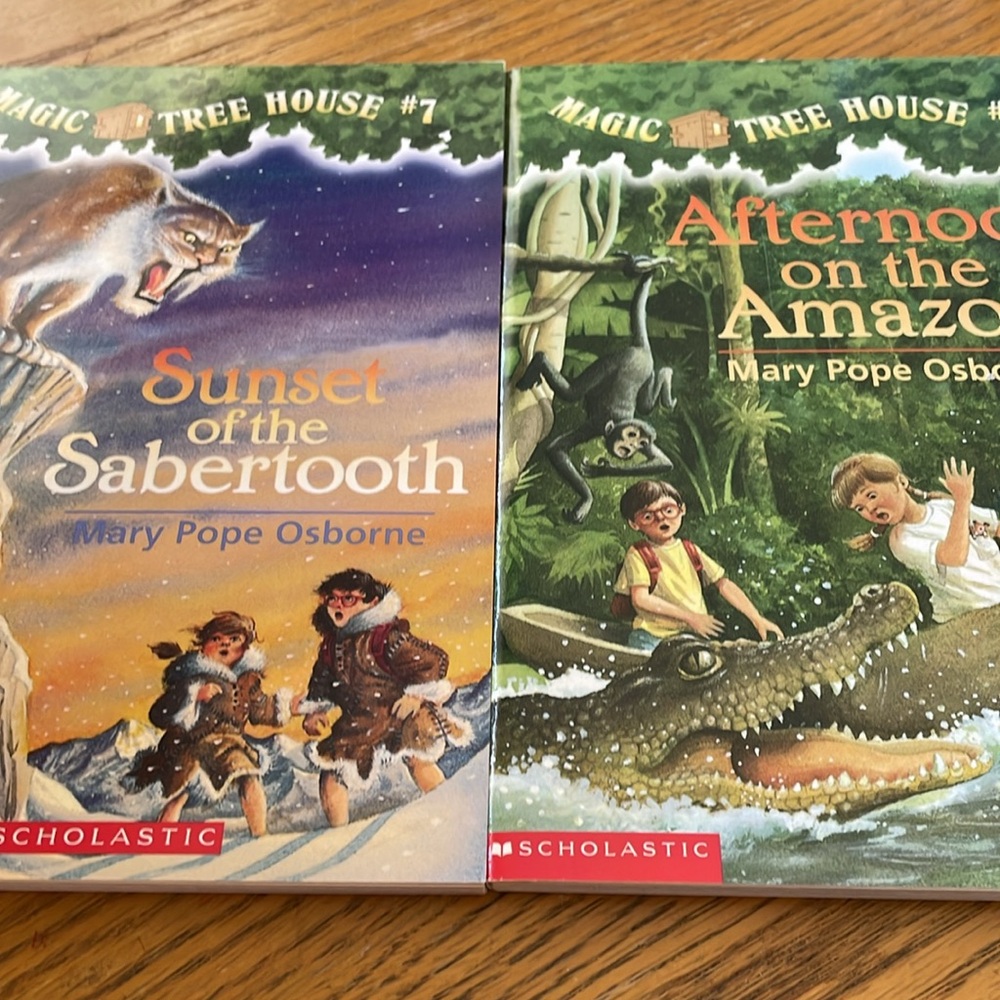 Magic Tree House Softcover Chapter Books #4 to #28 (25 books) NEW Condition - Picture 5 of 15